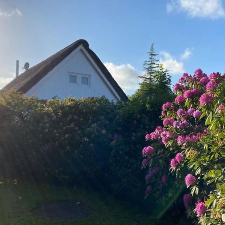 Ferienhaus Butterblume Südbrookmerland Exterior foto